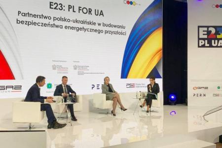 Українсько-польське партнерство відіграє значну роль в енергетичній безпеці – Юлія Підкоморна