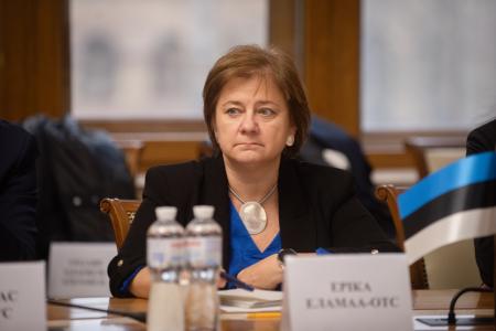 Україна та країни Нордично-Балтійської вісімки обговорили шляхи стабілізації енергопостачання та модернізації мереж