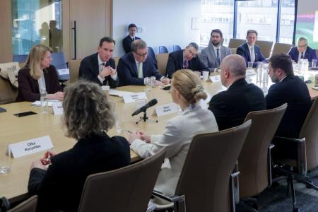 Денис Шмигаль провів зустріч з представниками Американського інституту підприємництва